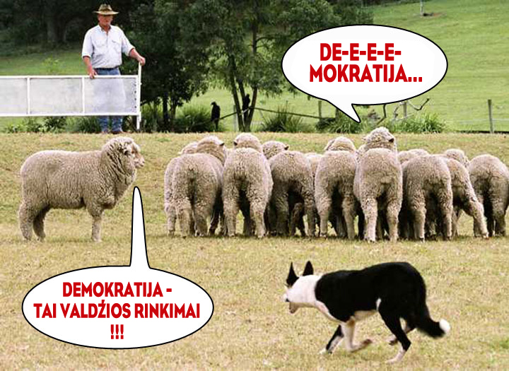 demokratija_rinkimai