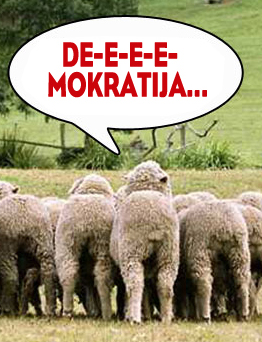demokratija_rinkimai_0