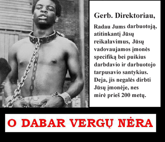 o dabar vergu nera