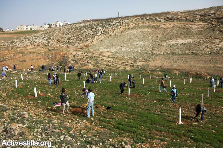 izraelis 8