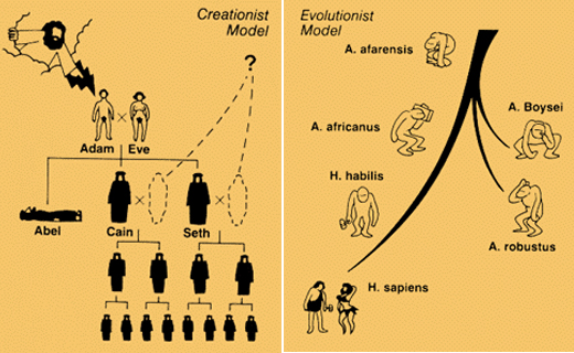 kreacionizmas pries evoliucionizma schema